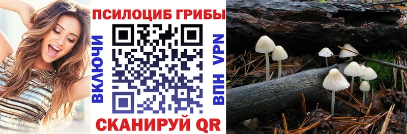 OMG сайт  Топки  Псилоцибиновые грибы мицелий 
