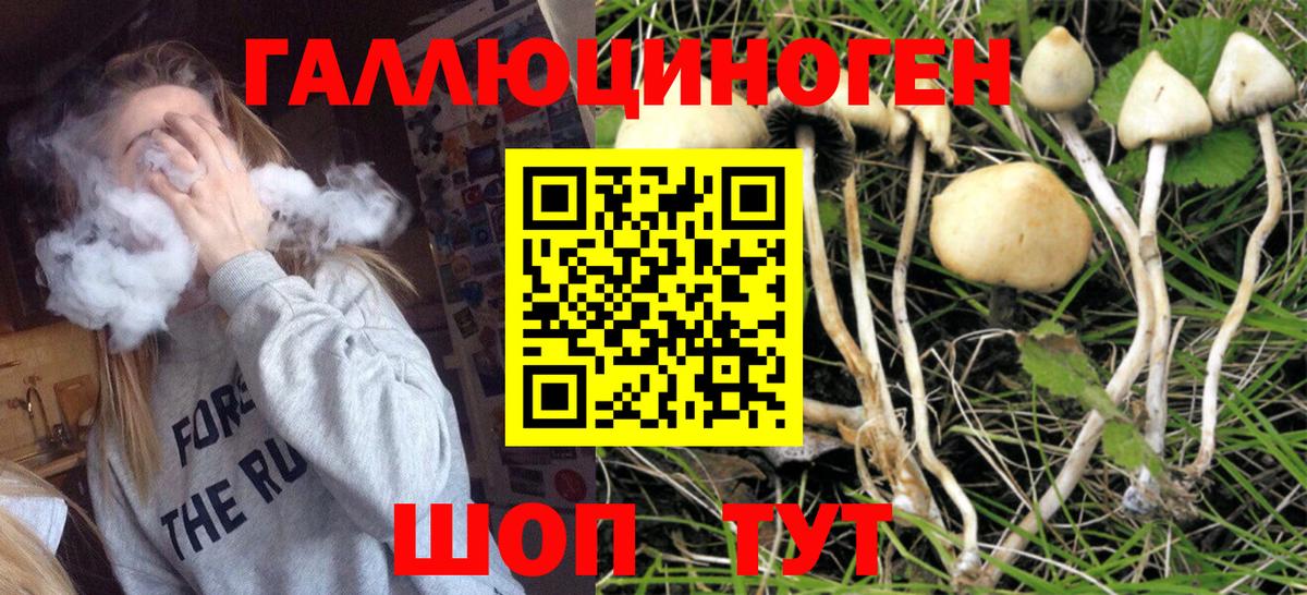 как найти закладки  Псилоцибиновые грибы прущие грибы  Галлюциногенные грибы MAGIC MUSHROOMS  Вход с VPN  Топки 
