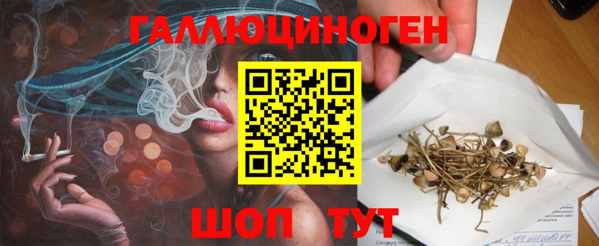 Галлюциногенные грибы мухоморы Топки
